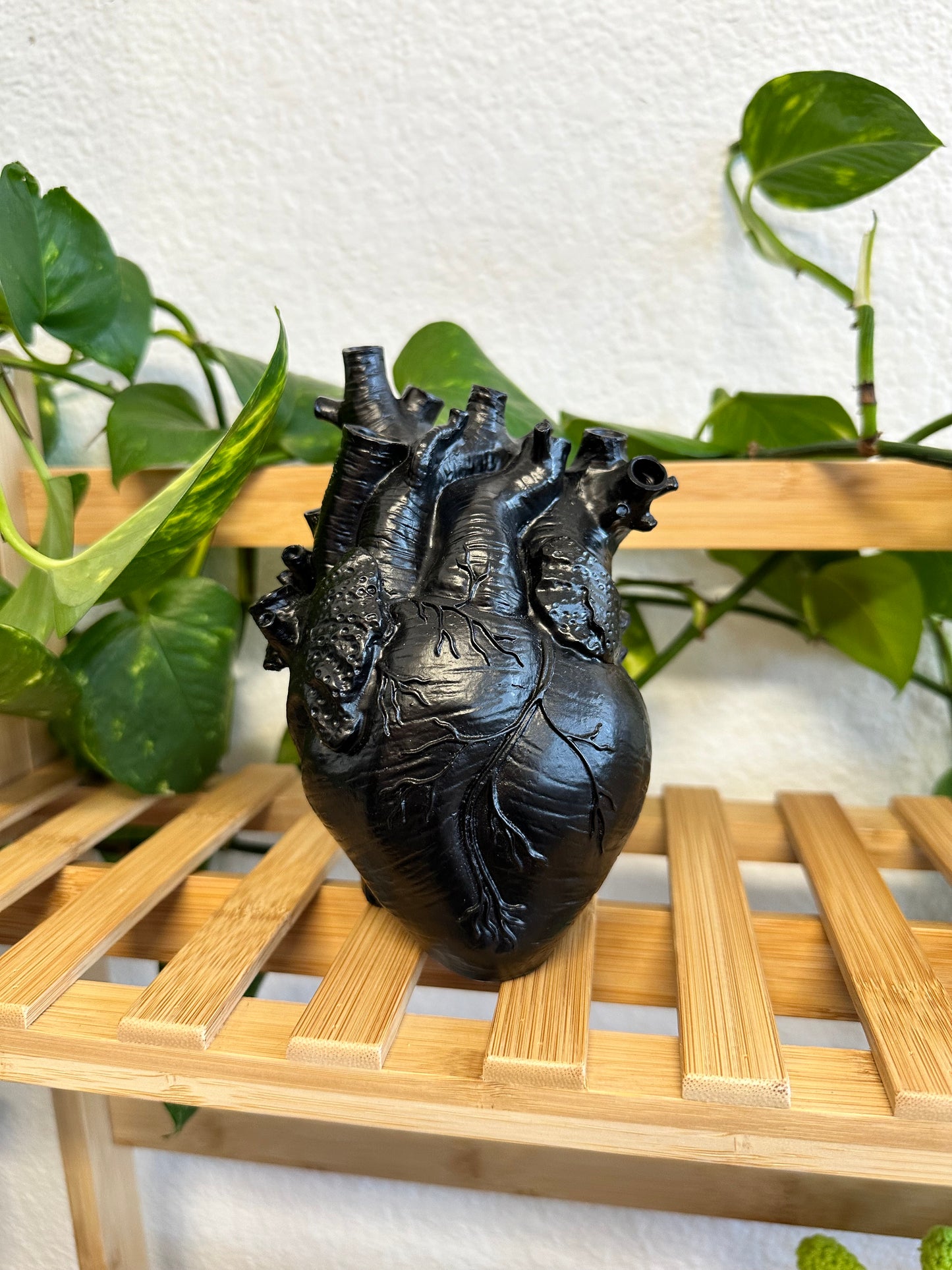 Corazon Negro Planter