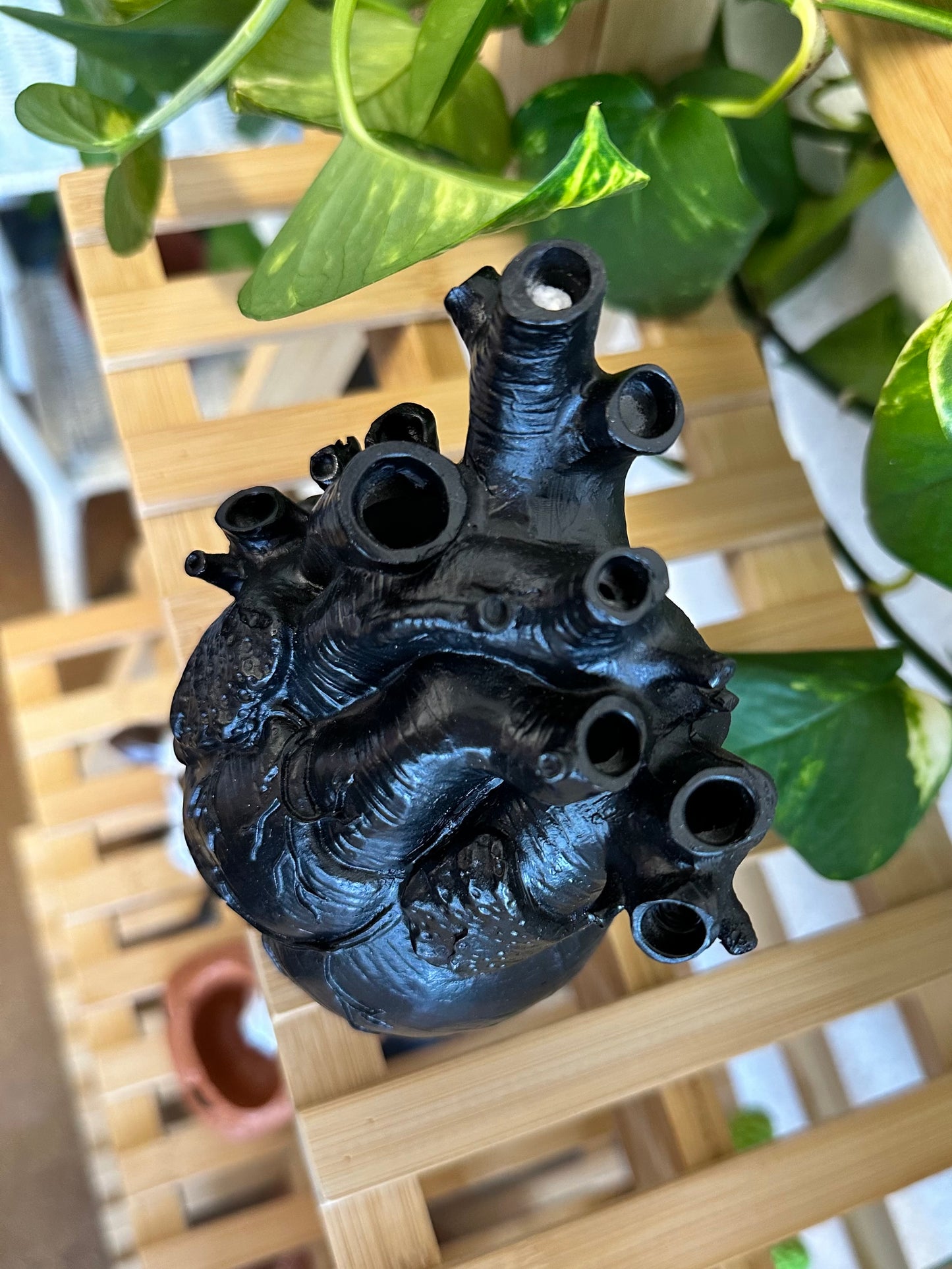 Corazon Negro Planter