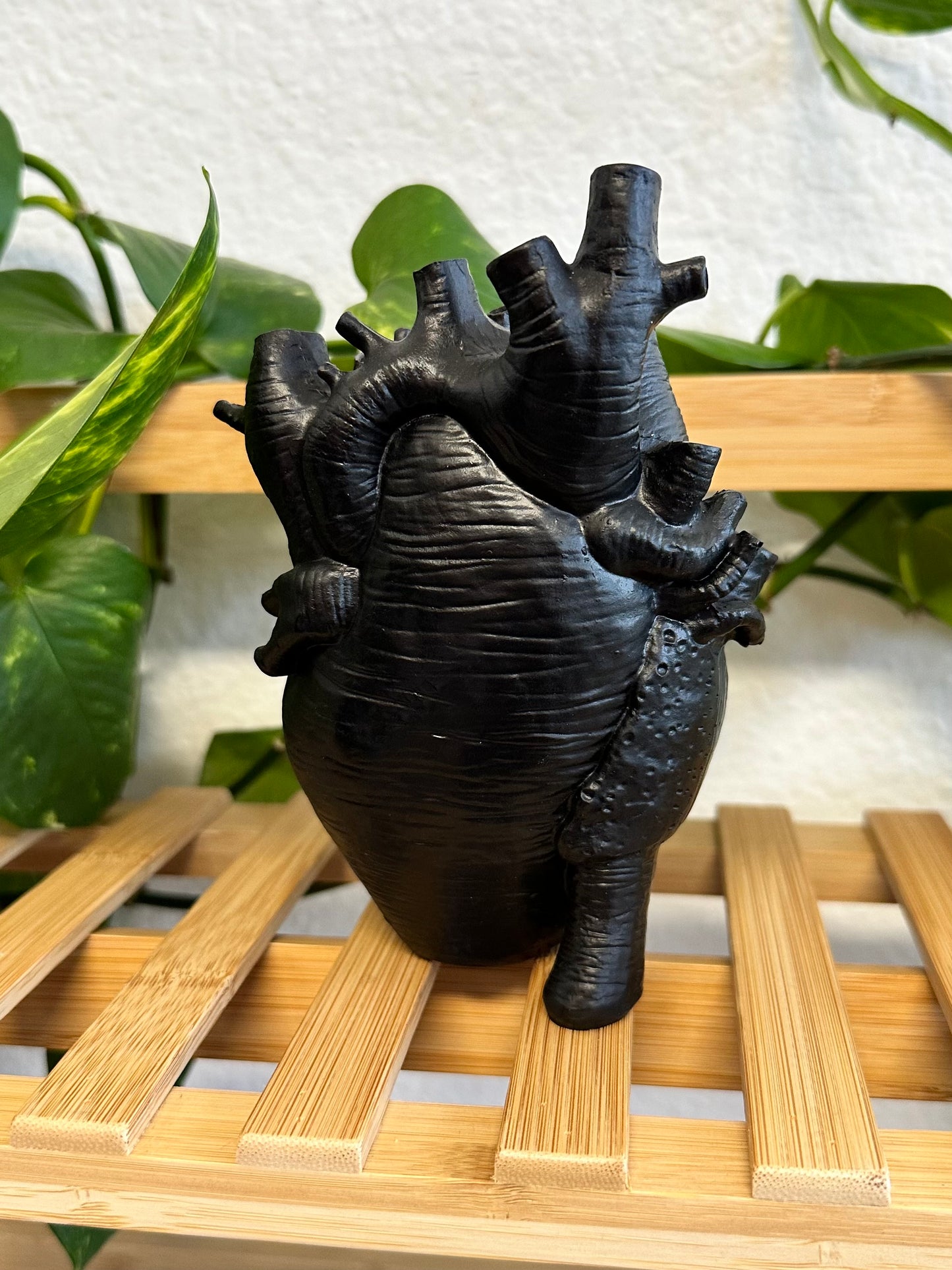 Corazon Negro Planter