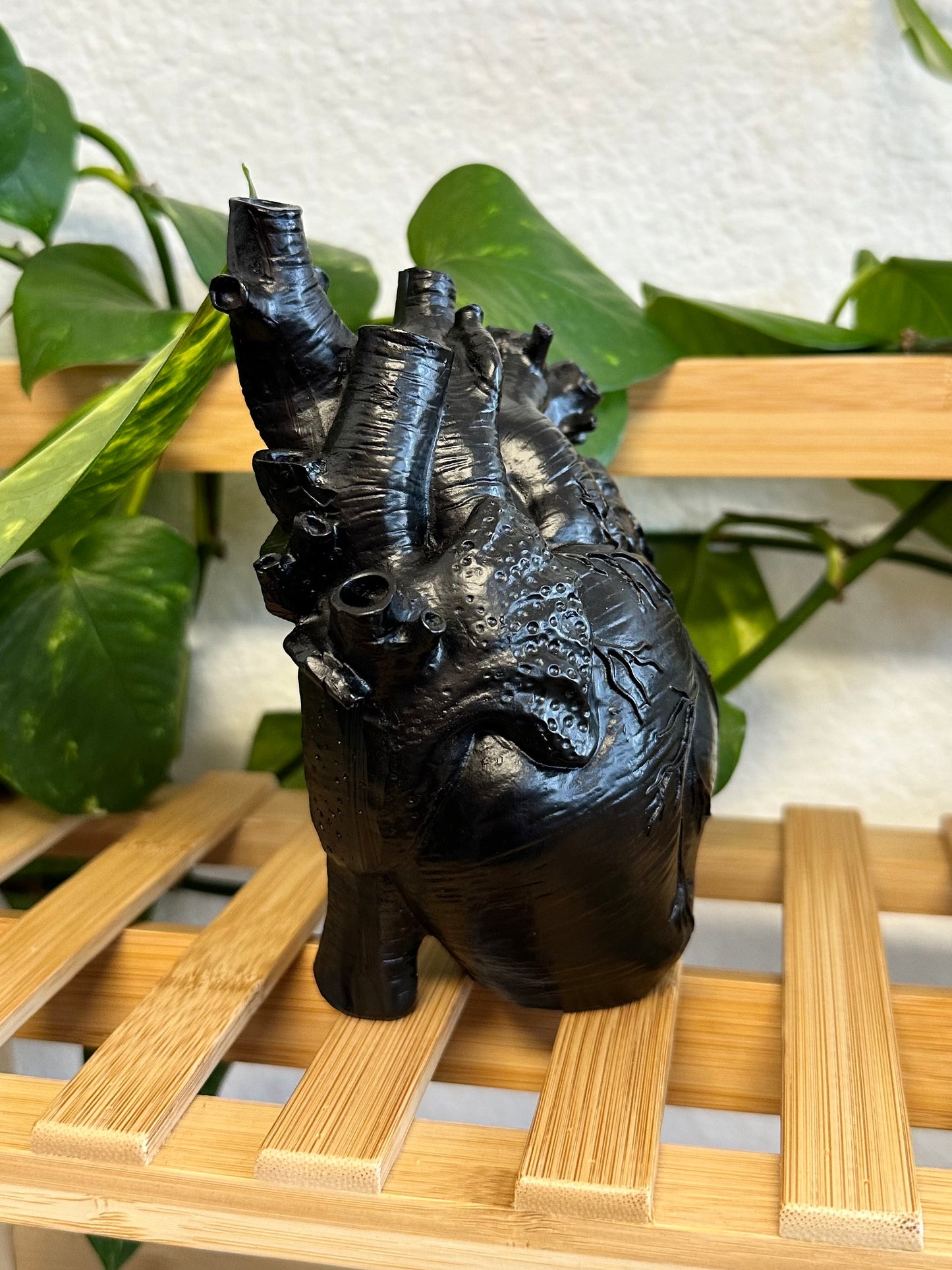 Corazon Negro Planter