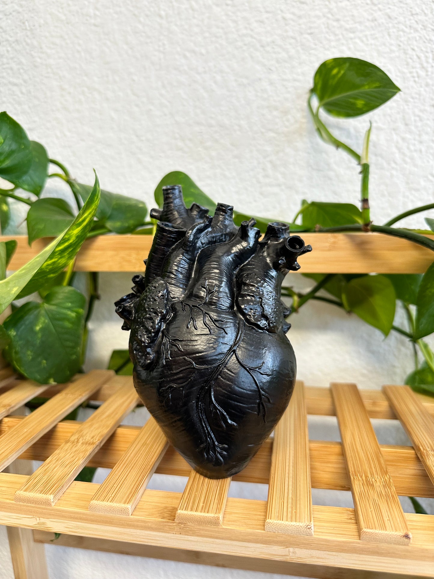Corazon Negro Planter