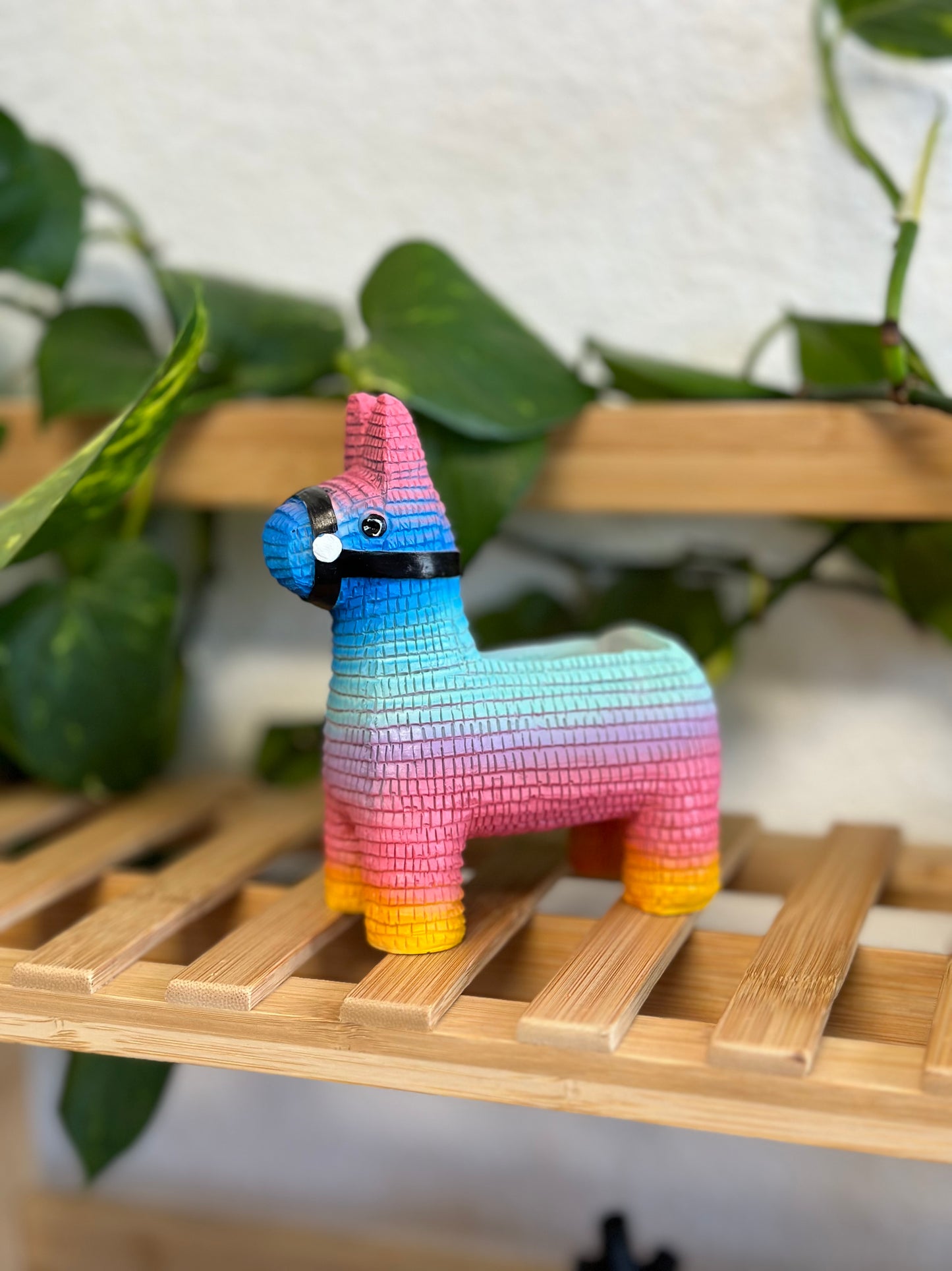 Piñata Planter