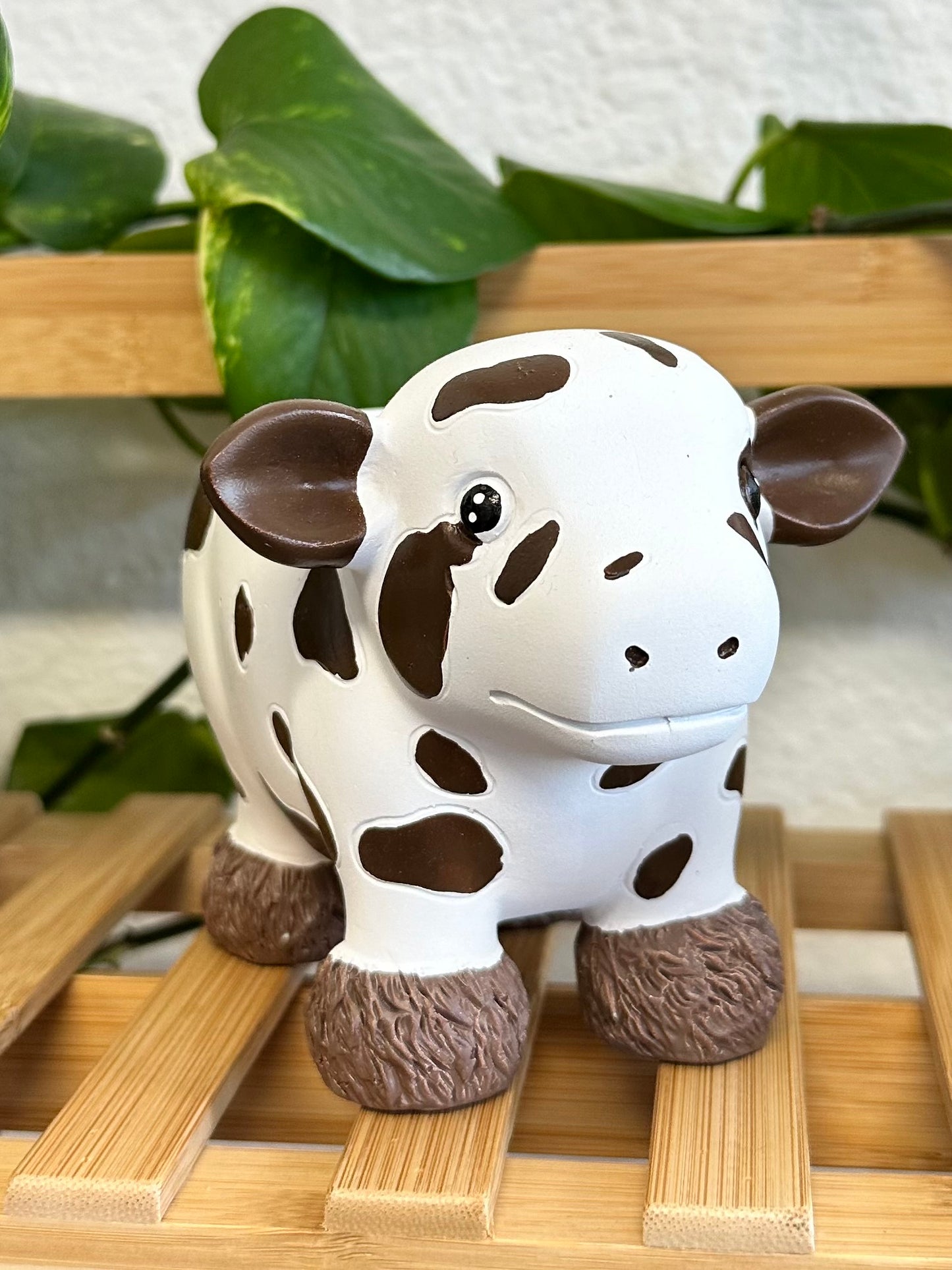 Vaquita Planter