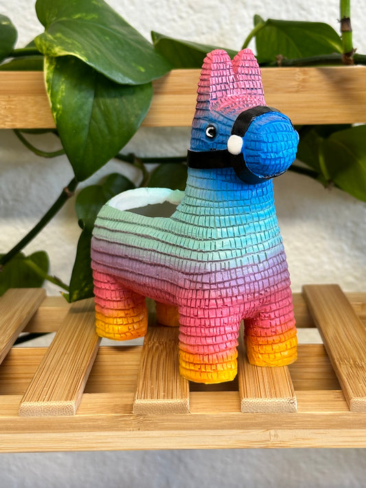 Piñata Planter