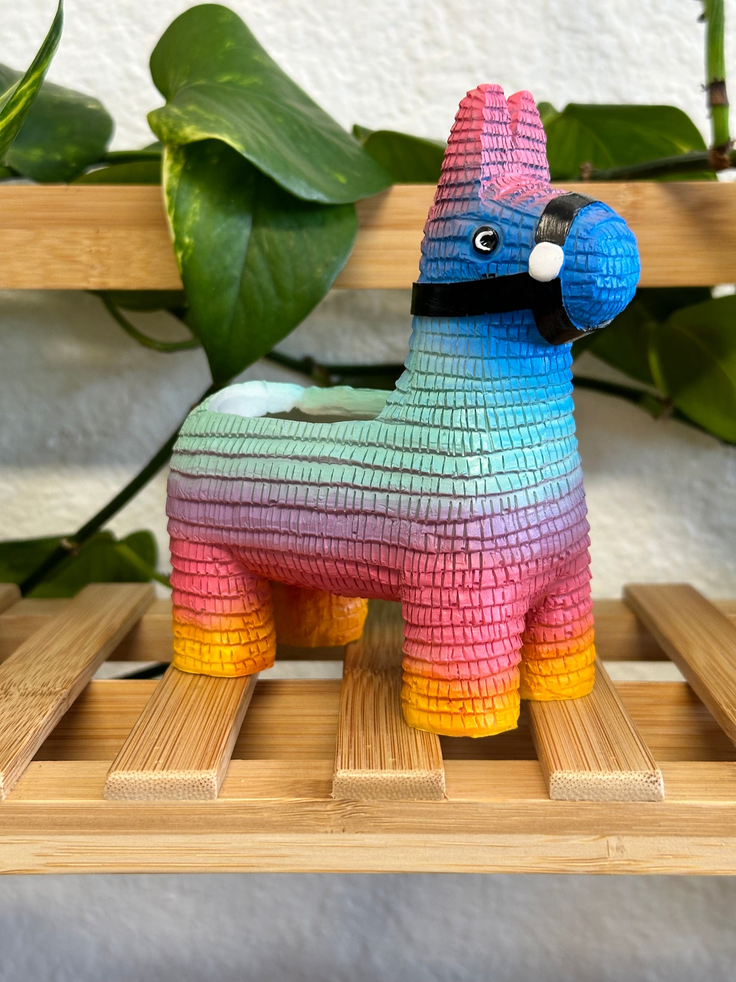 Piñata Planter