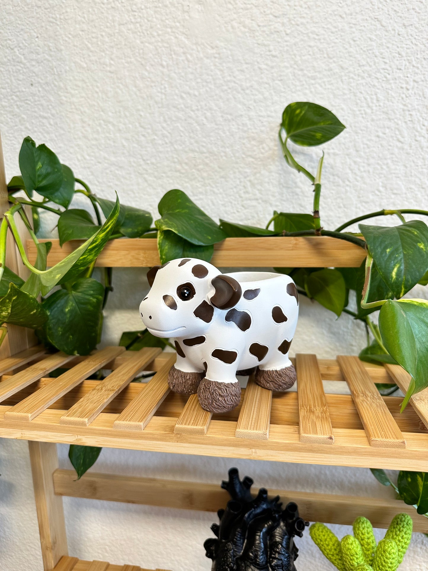 Vaquita Planter