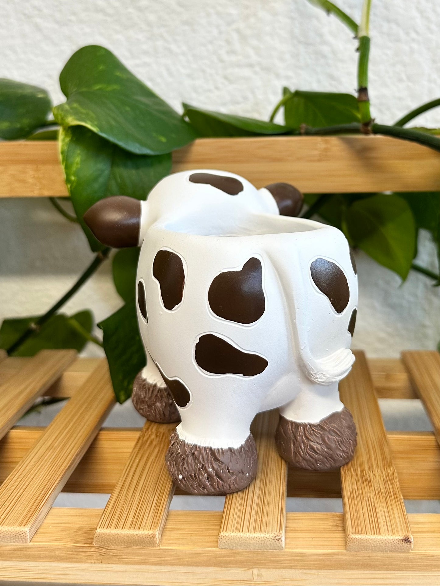 Vaquita Planter