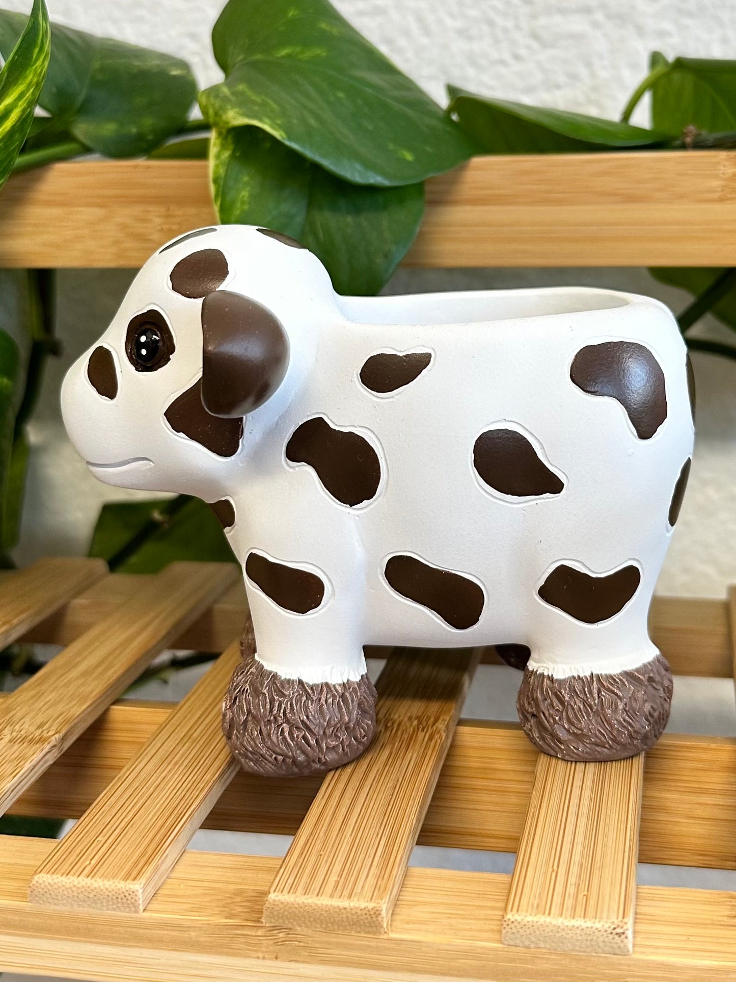 Vaquita Planter