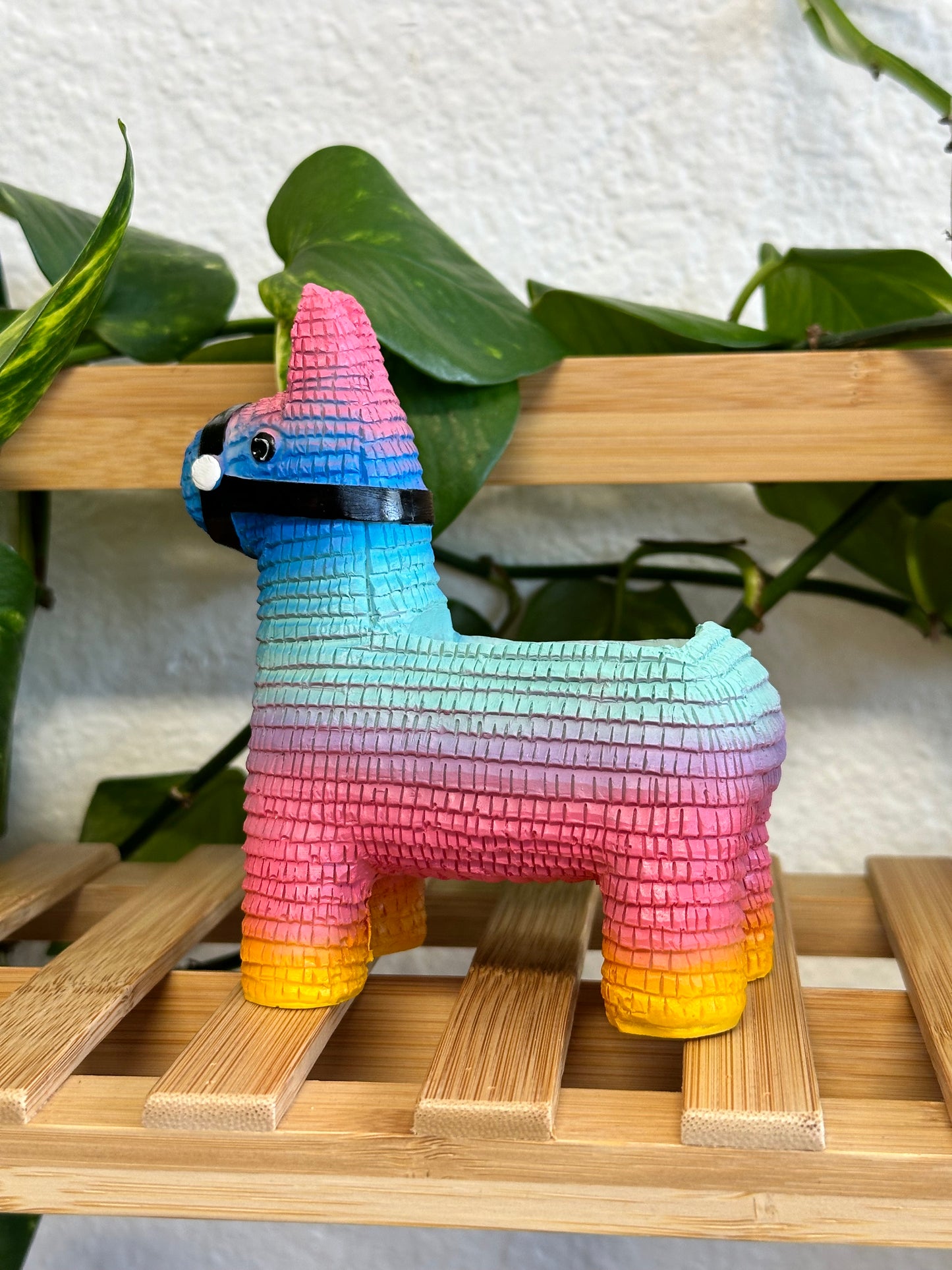 Piñata Planter