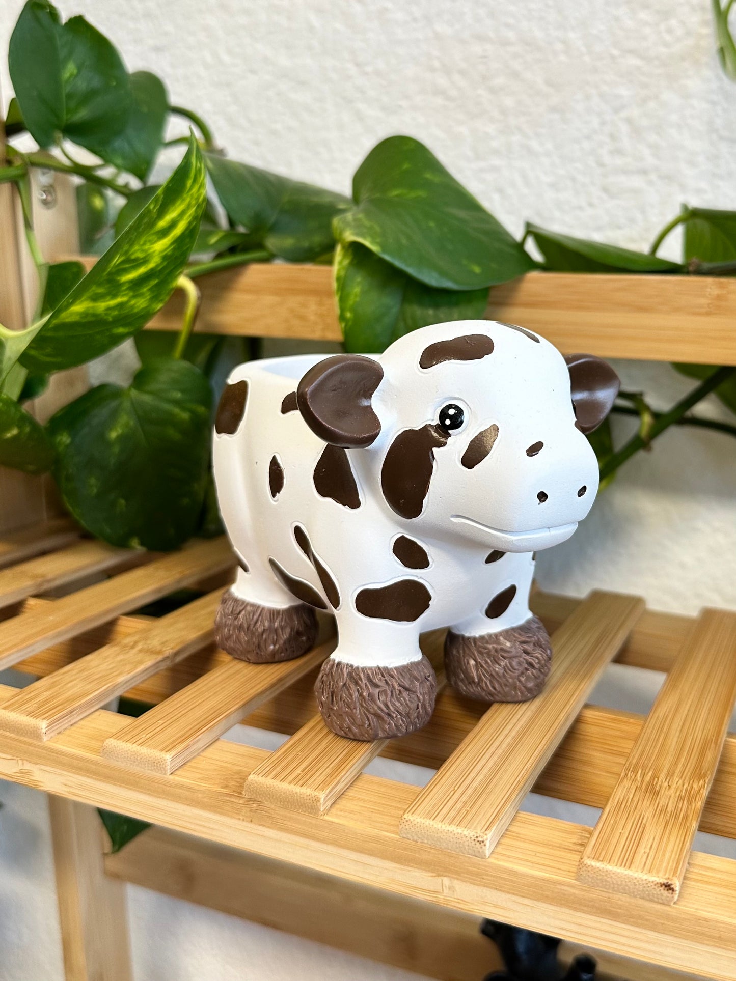 Vaquita Planter