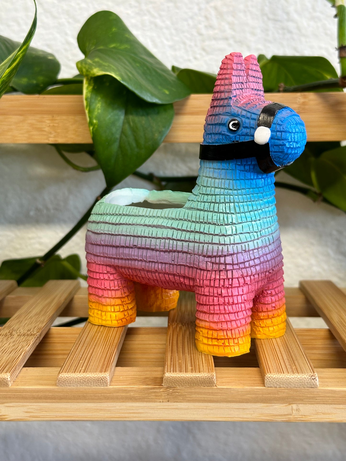 Piñata Planter