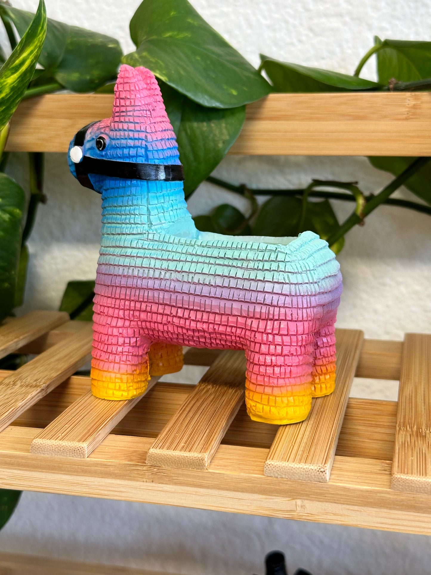 Piñata Planter