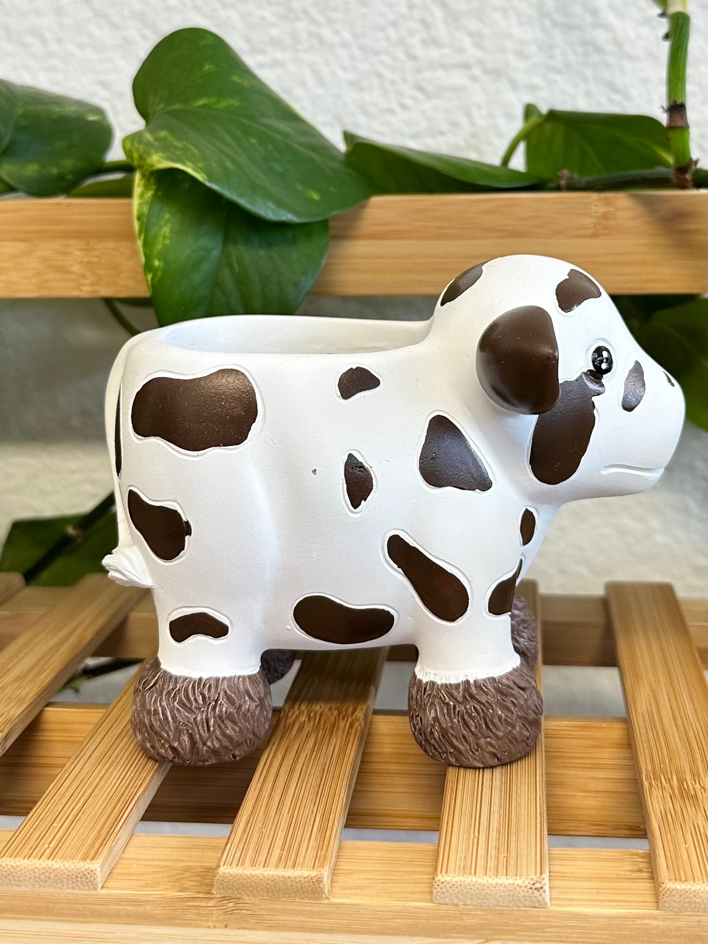 Vaquita Planter