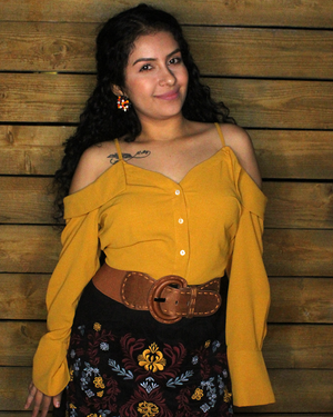 Descriptive image text